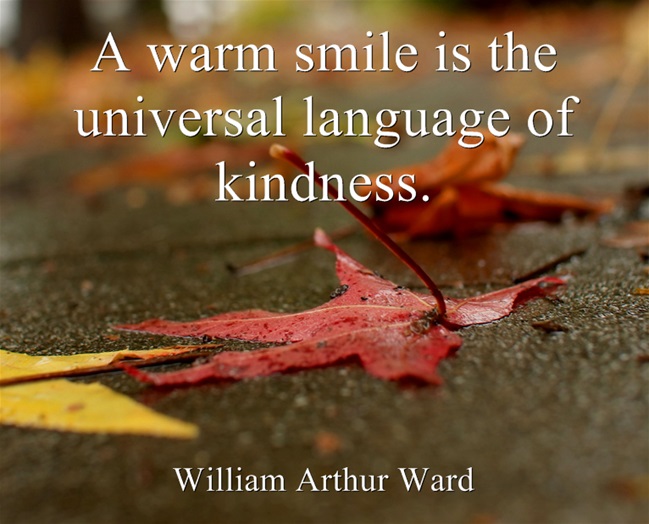 william arthur ward quote 4
