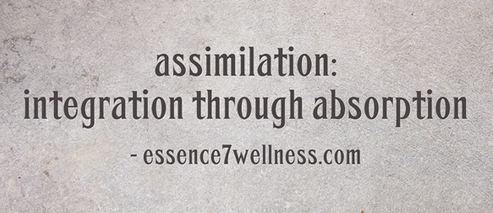 assimilation 6