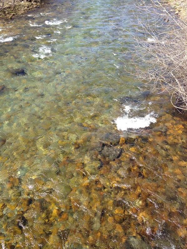 flowing river