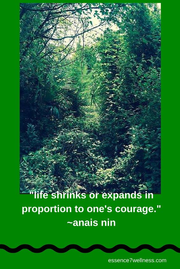 life shrinks or expands