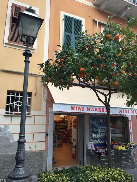 oranges & shop